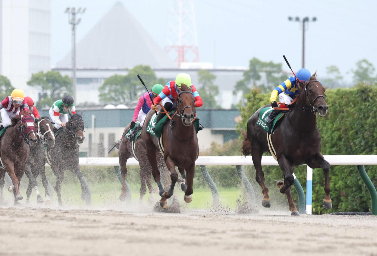 逃げ切ってプロキオンSを制したドンフランキー（右）（撮影・白石智彦）