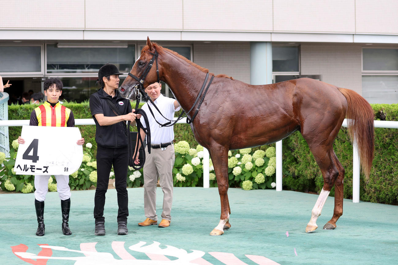 新馬戦を制したヘルモーズと団野大成騎手（左）（撮影・鈴木正人）