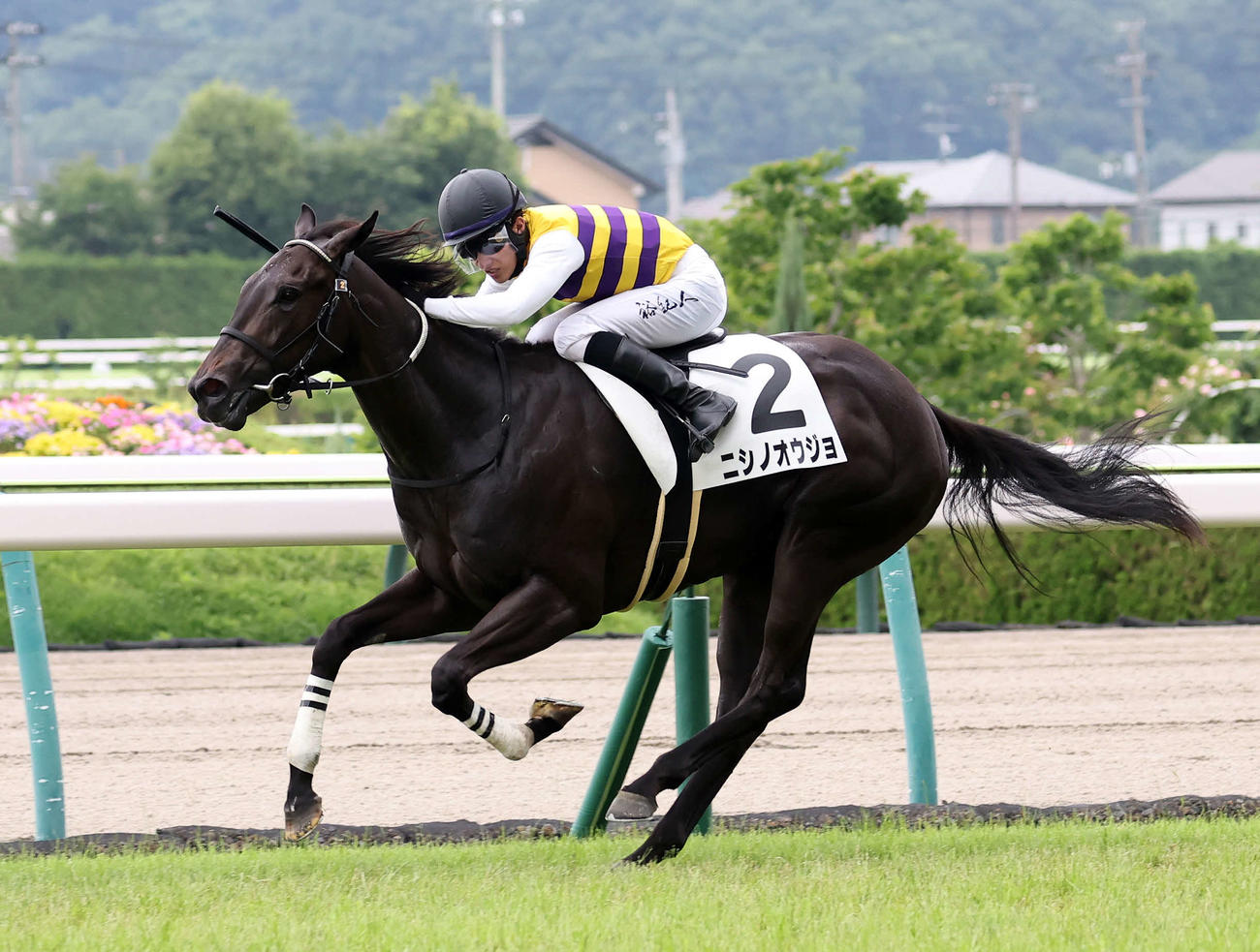 新馬戦を制したニシノオウジョと石川裕紀人騎手（撮影・鈴木正人）