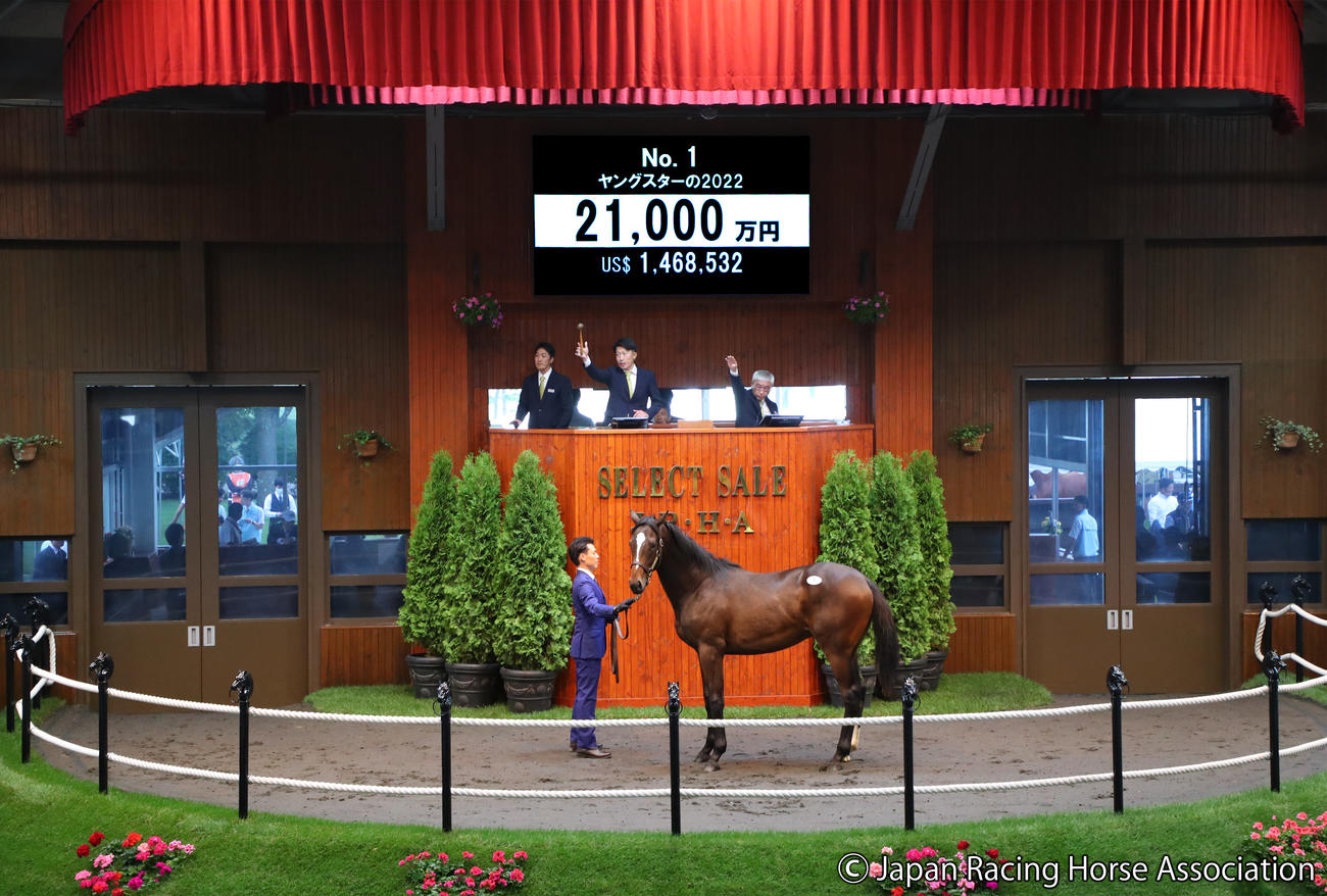 2億1000万円で落札されたヤングスターの2022
