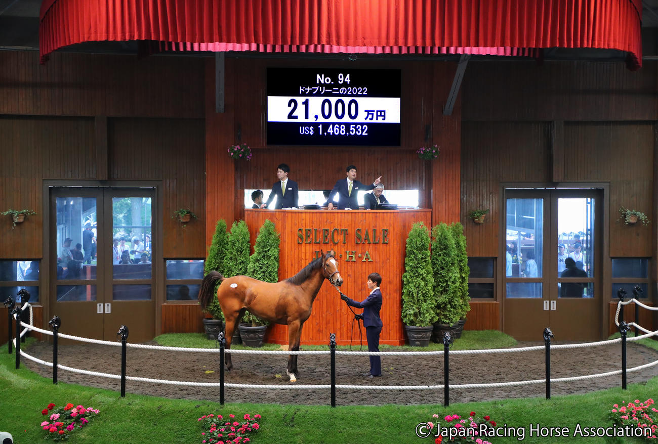 2億1000万円で落札されたドナブリーニの2022