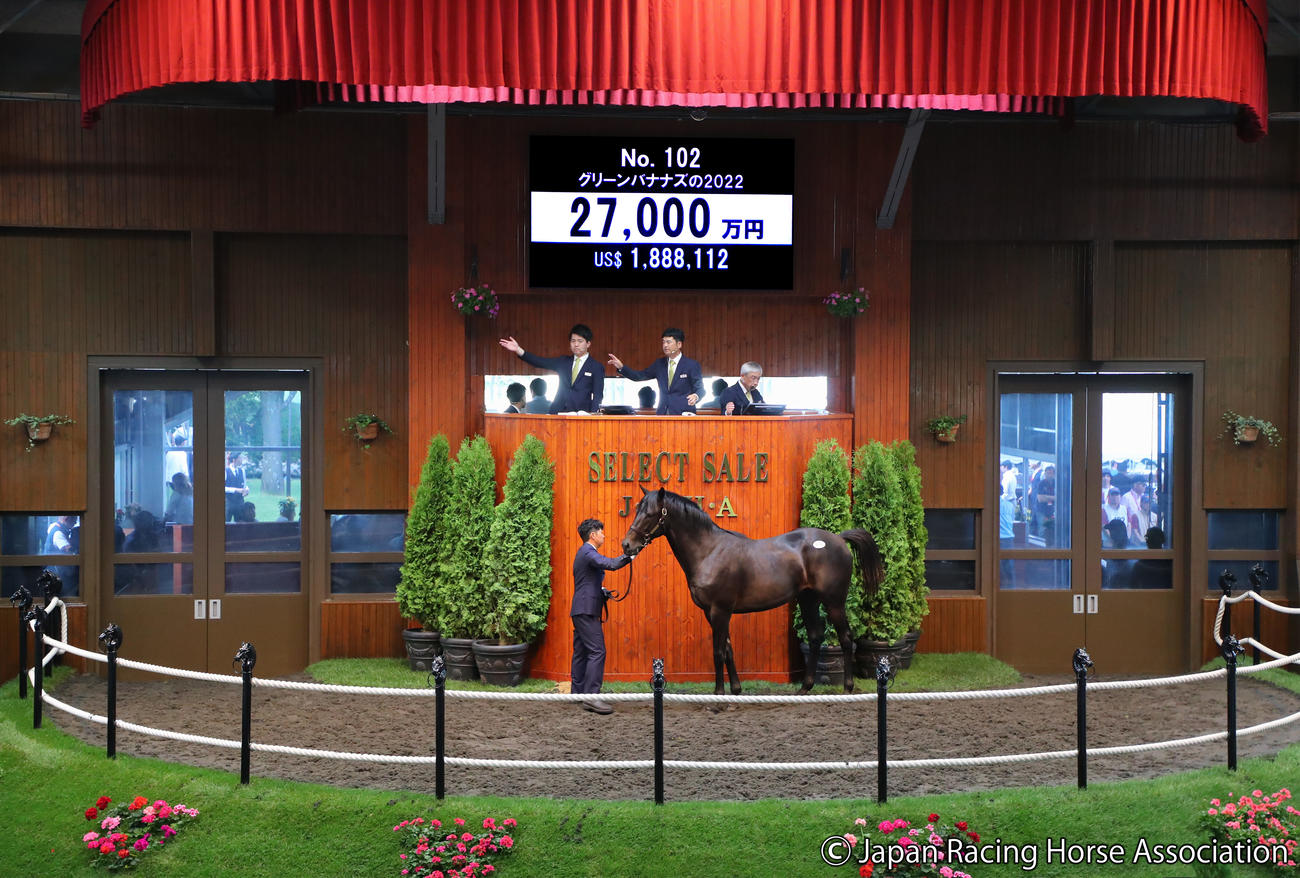 2億7000万円で落札されたグリーンバナナズの2022