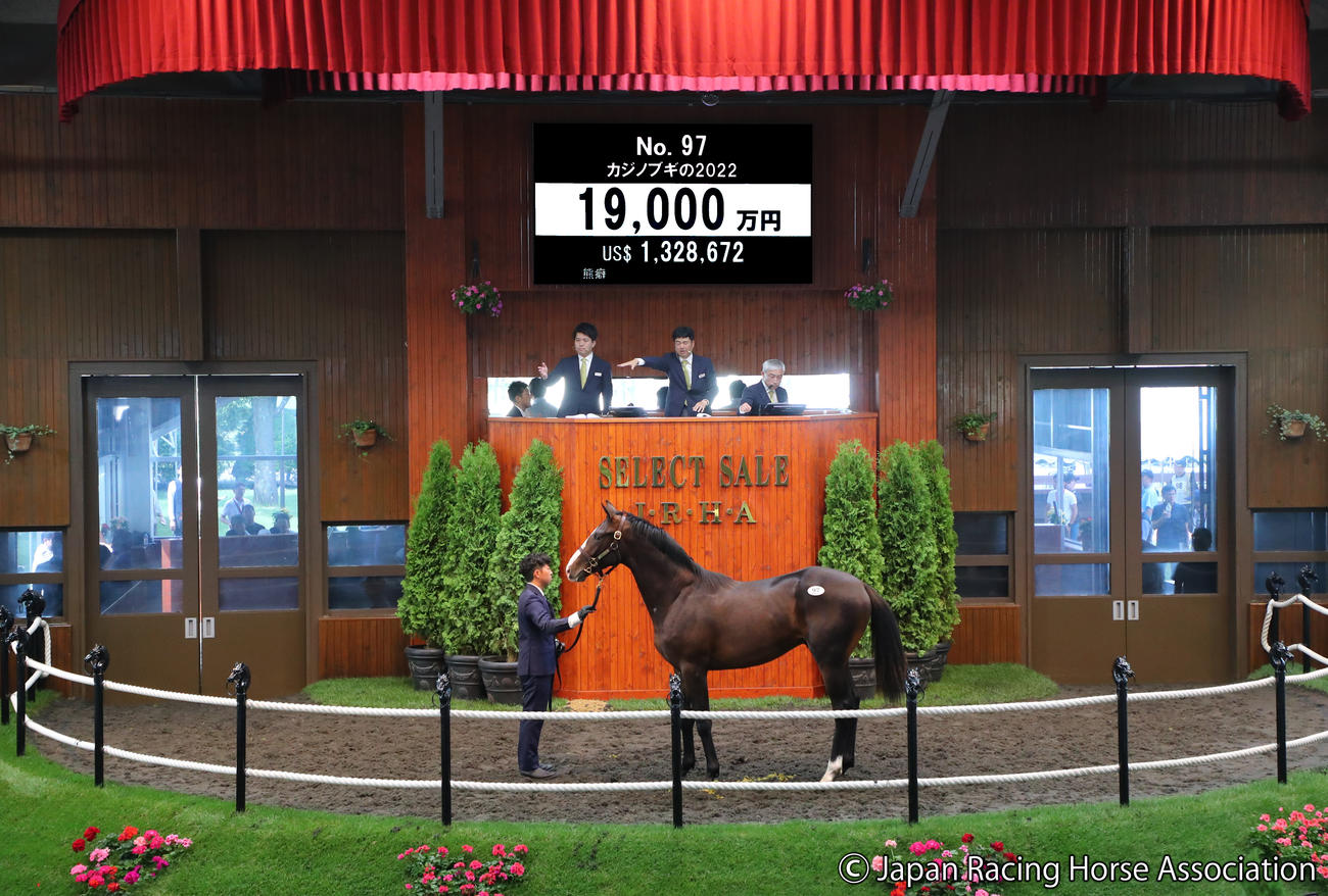 1億9000万円で落札されたカジノブギの2022