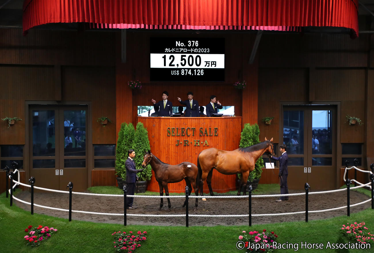 1億2500万円で落札されたカレドニアロードの2023