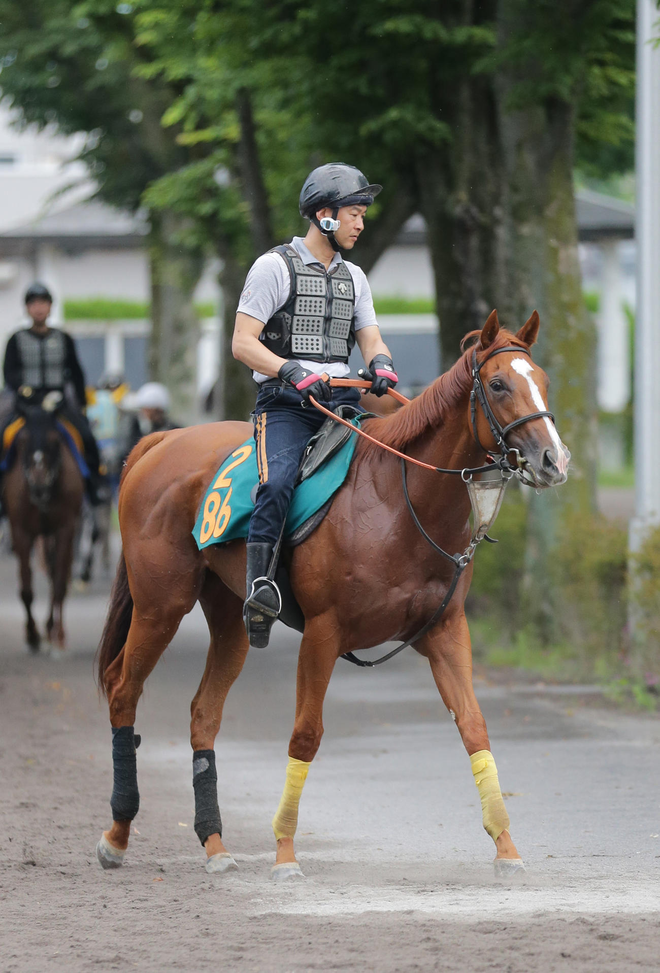 函館2歳Sに向け、函館で調整するスカイキャンバス