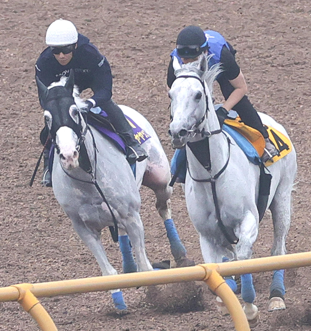 ハヤヤッコ（左）は函館ウッドチップコースでボスジラと併せ馬