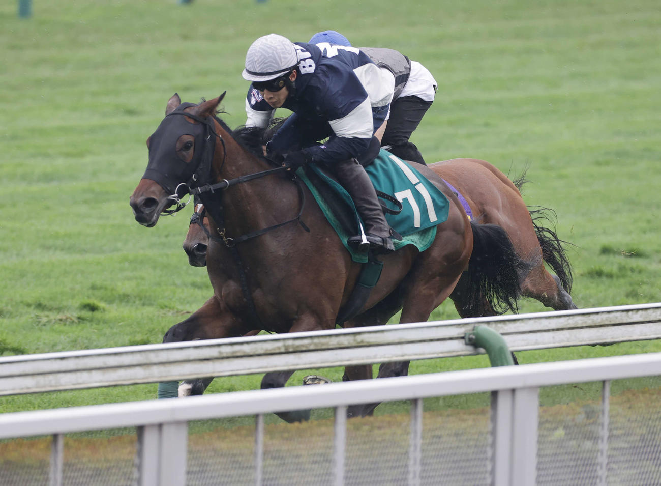 藤岡佑介騎手を背に、函館芝コースで併せ馬で追い切られるロータスワンド（左）