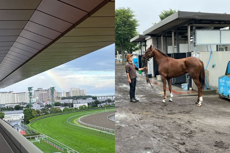 函館競馬場の虹（左）、カレンナオトメ（右）