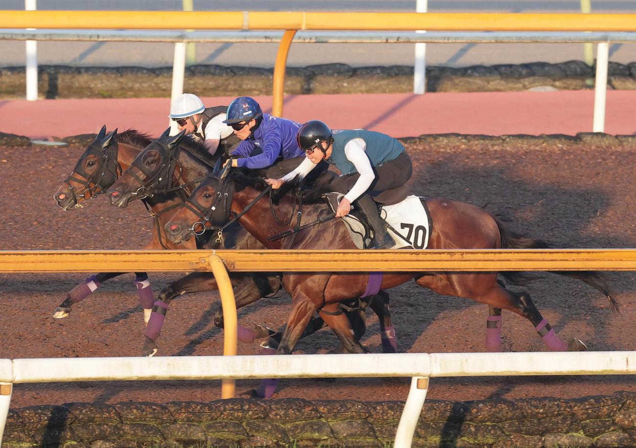 CWコースをアイザックバローズ（中央）と併せて追い切ったアドマイヤビルゴ(手前)とディヴィーナ(奥)