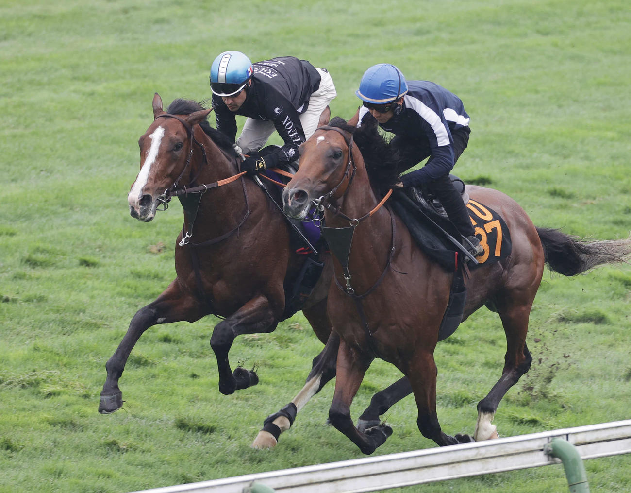 ルメール騎手を背に、函館芝コースで併せ馬で追い切られるローシャムパーク（左）