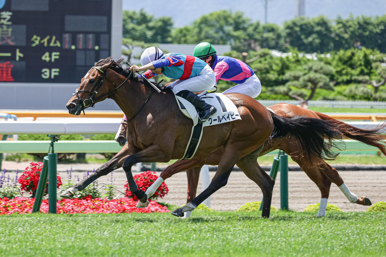 6月25日、デビュー戦を制したクールベイビーと佐々木騎手