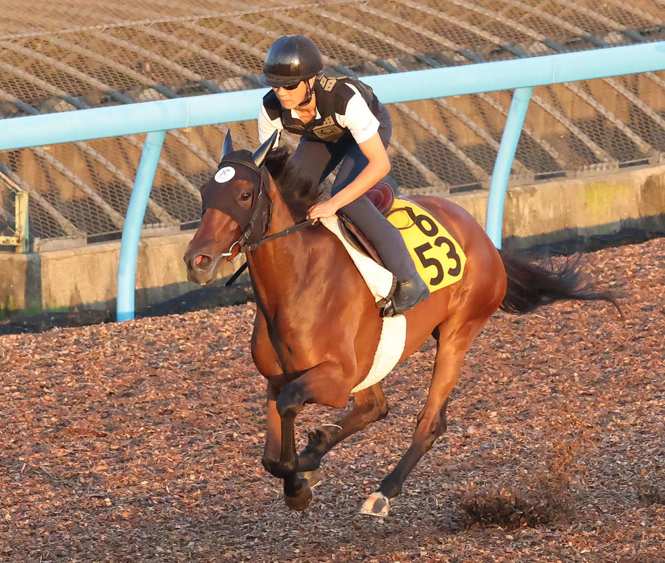 12日、コムストックロードは美浦ウッドを単走で追い切られた