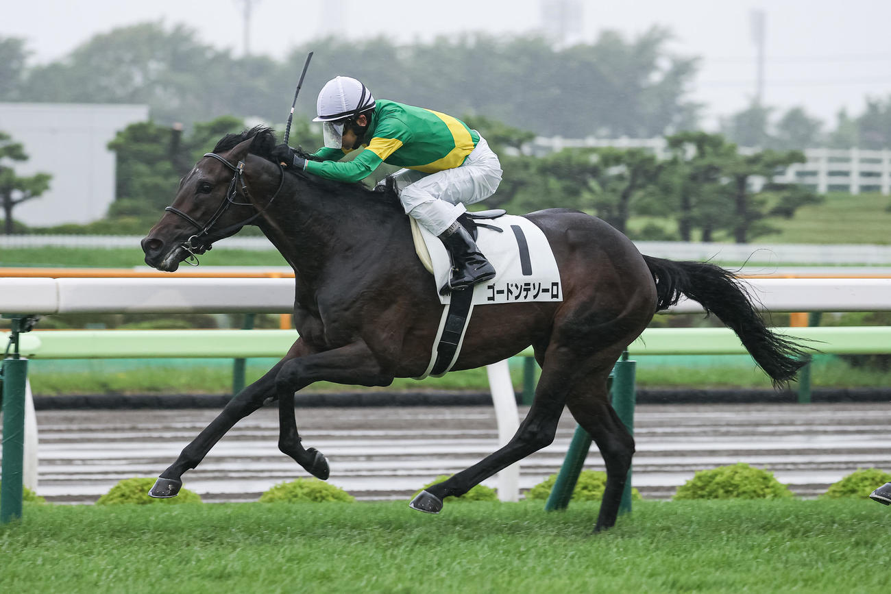 函館1R、2歳未勝利を制したゴードンテソーロと和田竜騎手（撮影・村野早祐）