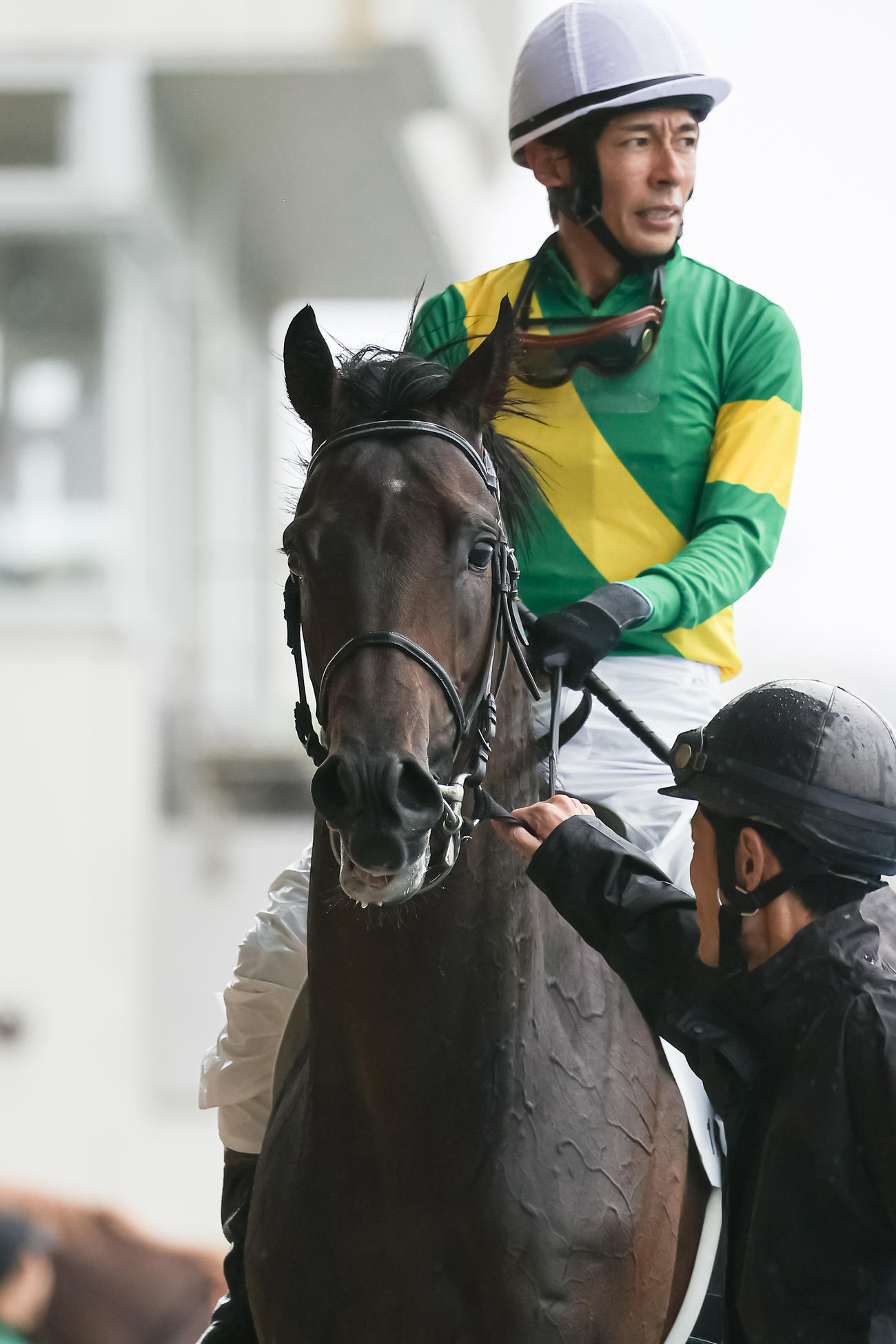 函館1R、2歳未勝利を制したゴードンテソーロ（撮影・村野早祐）