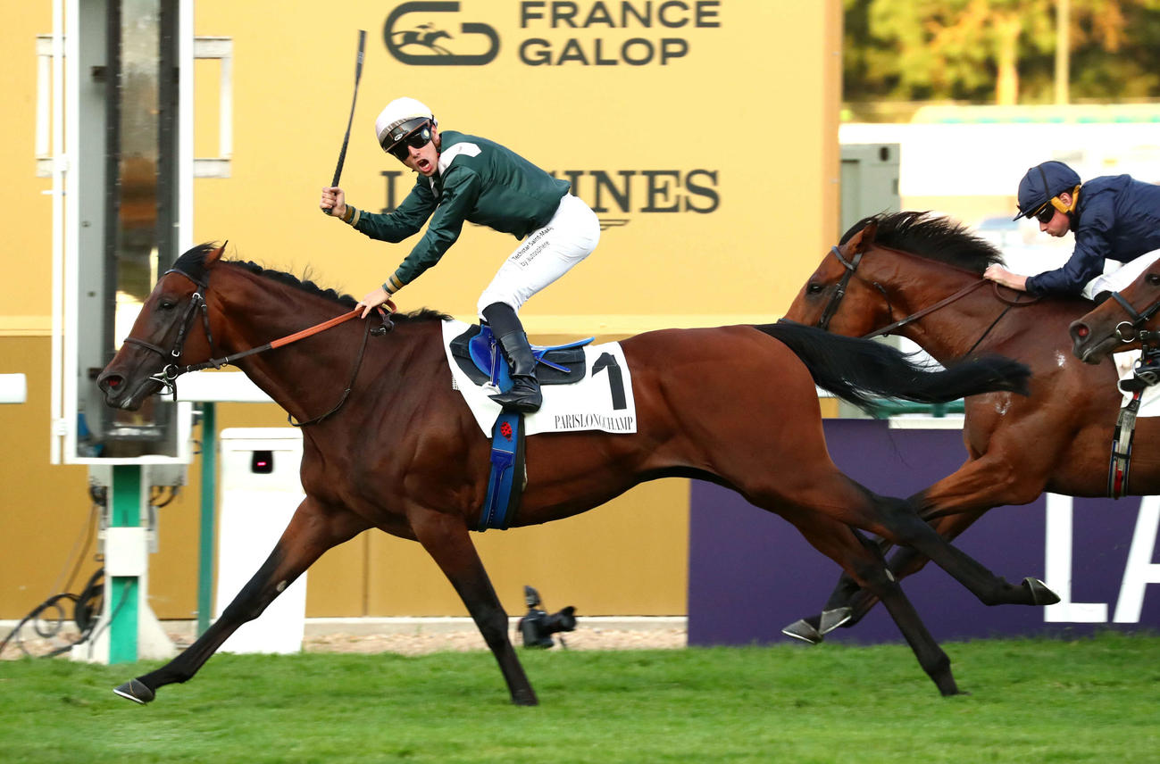 パリ大賞を制したフィードザフレイム（C）FRANCE GALOP