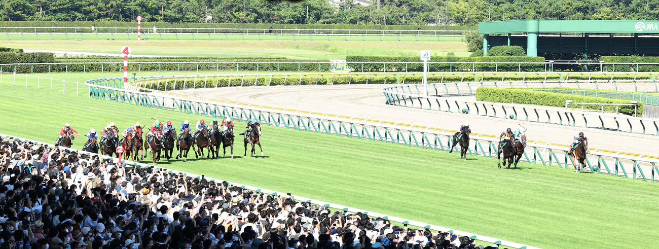 新潟芝直線1000メートルで行われるアイビスSD（2022年7月31日撮影）