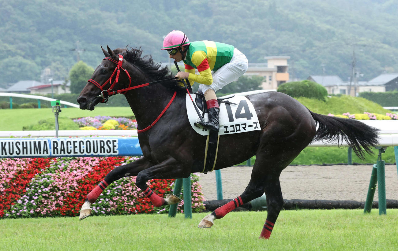 福島5R、デビュー戦を快勝したエコロマーズとM・デムーロ騎手（撮影・丹羽敏通）
