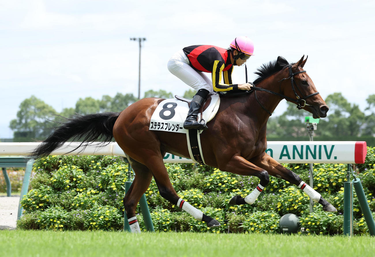 中京5R、直線抜け出して新馬戦を制したステラスプレンダー（撮影・白石智彦）