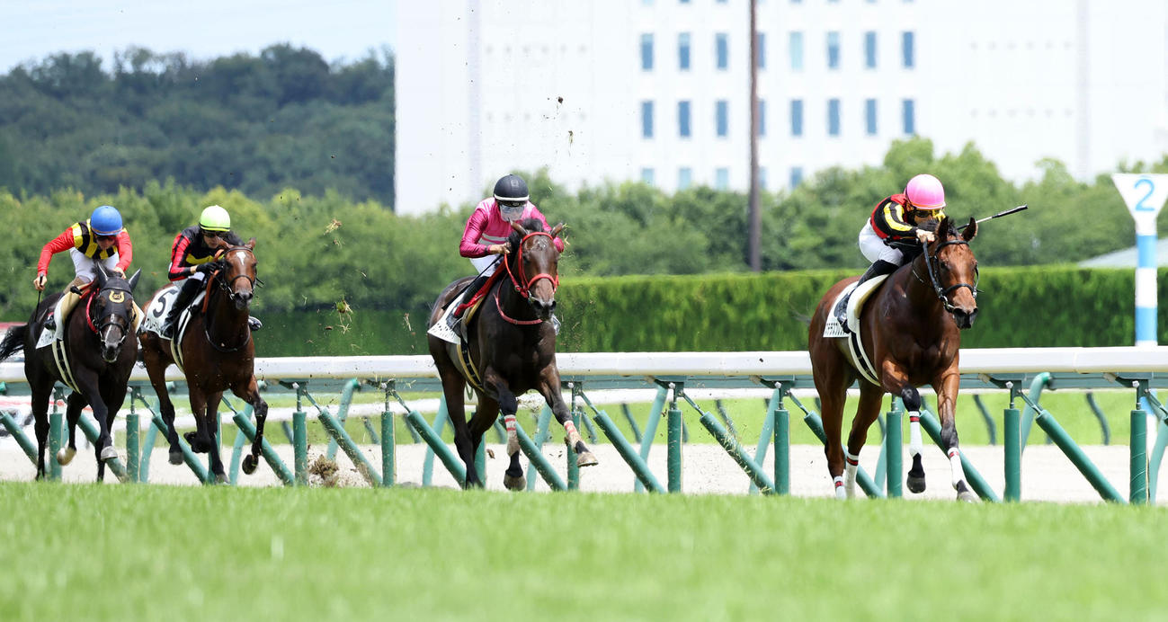 中京5R、直線抜け出して新馬戦を制したステラスプレンダー（右）（撮影・白石智彦）
