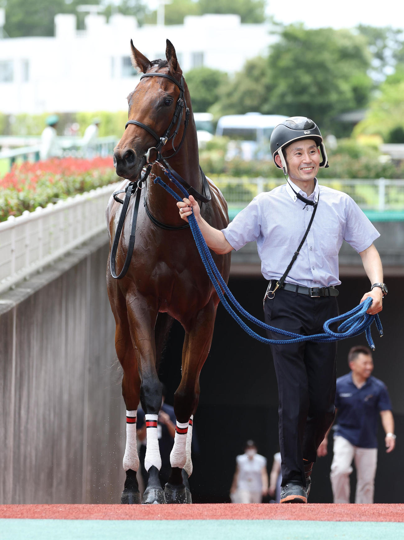 中京5R、新馬戦を制したステラスプレンダー（撮影・白石智彦）