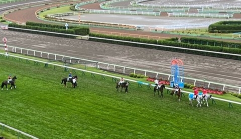 函館2歳Sの馬場入りの様子