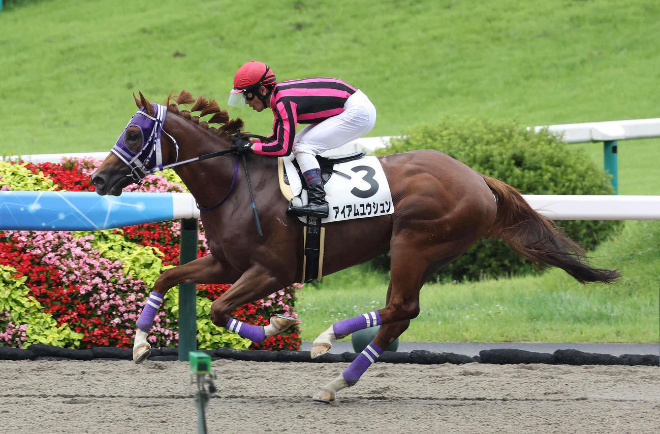 福島6R、デビュー戦を制したアイアムユウシュンと戸崎騎手（撮影・丹羽敏通）