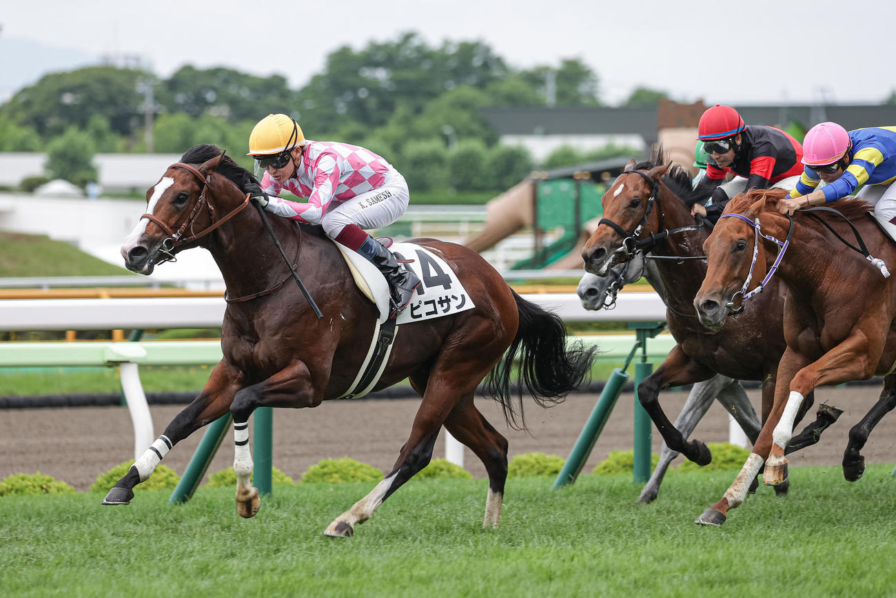 函館1R、2歳未勝利を制したピコサンと鮫島駿騎手（撮影・村野早祐）