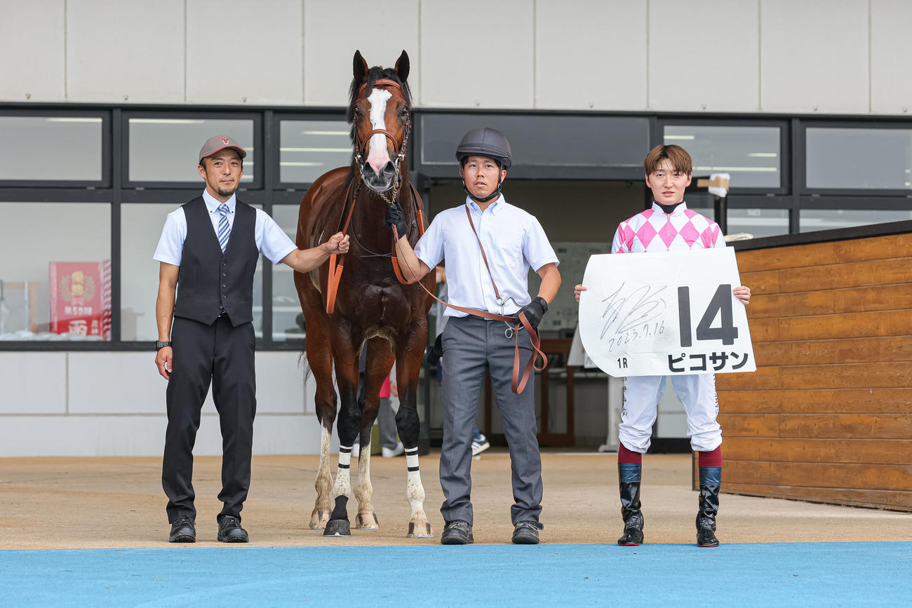函館1R、2歳未勝利を制したピコサン（撮影・村野早祐）