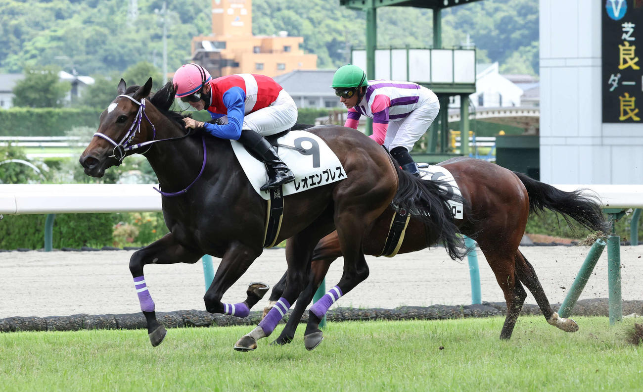 福島6R、デビュー戦を制したレオエンプレスと永野騎手（撮影・丹羽敏通）