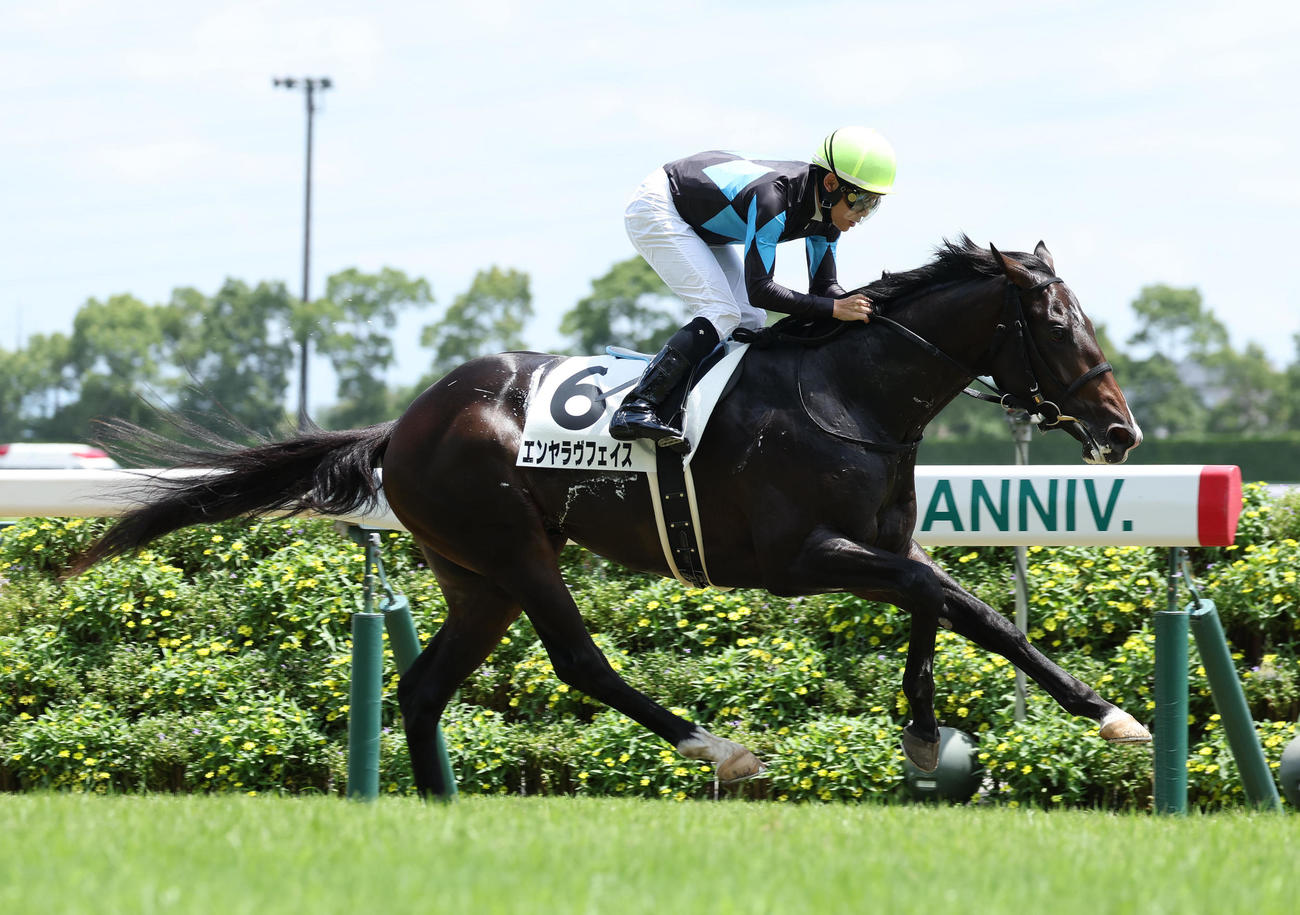 中京5R、新馬戦を快勝したエンヤラヴフェイス（撮影・白石智彦）