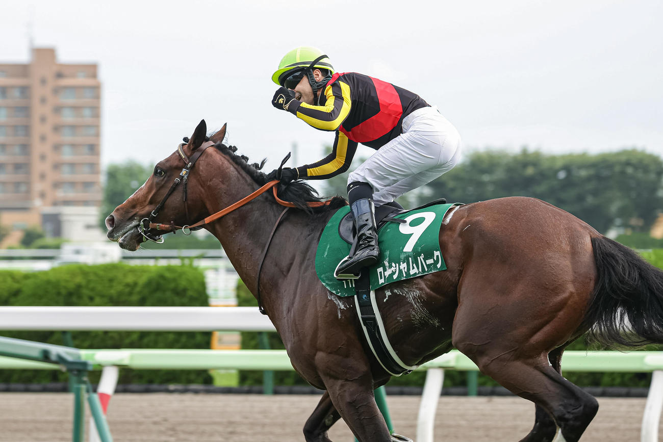 函館記念を制したローシャムパークとルメール騎手（撮影・村野早祐）