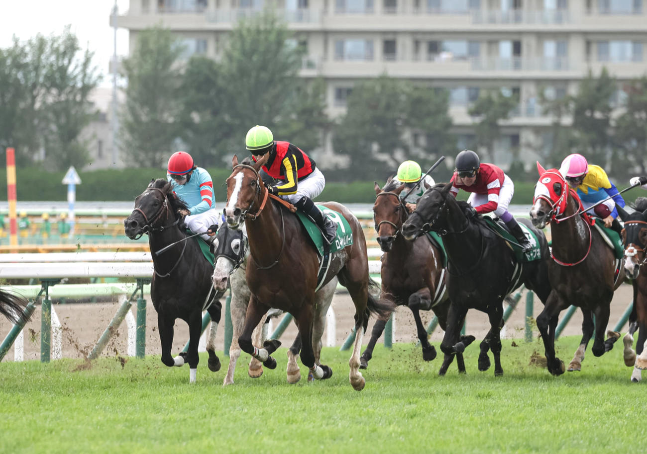 函館記念を制したローシャムパークとルメール騎手（中央）（撮影・村野早祐）
