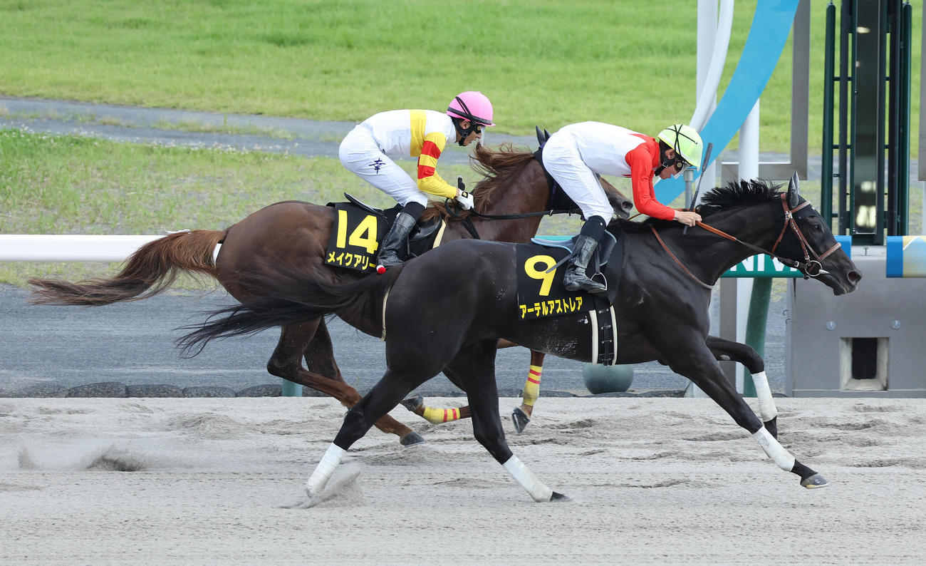 先に抜け出したメイクアリープ（奥）を差し切って名鉄杯を制したアーテルアストレア（撮影・白石智彦）