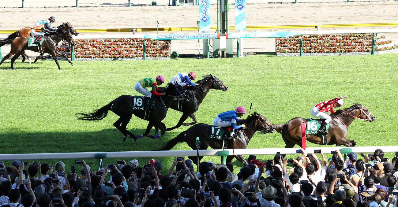 アイビスSDを制したビリーバー（右端）とガッツポーズを決める杉原騎手（撮影・丹羽敏通）