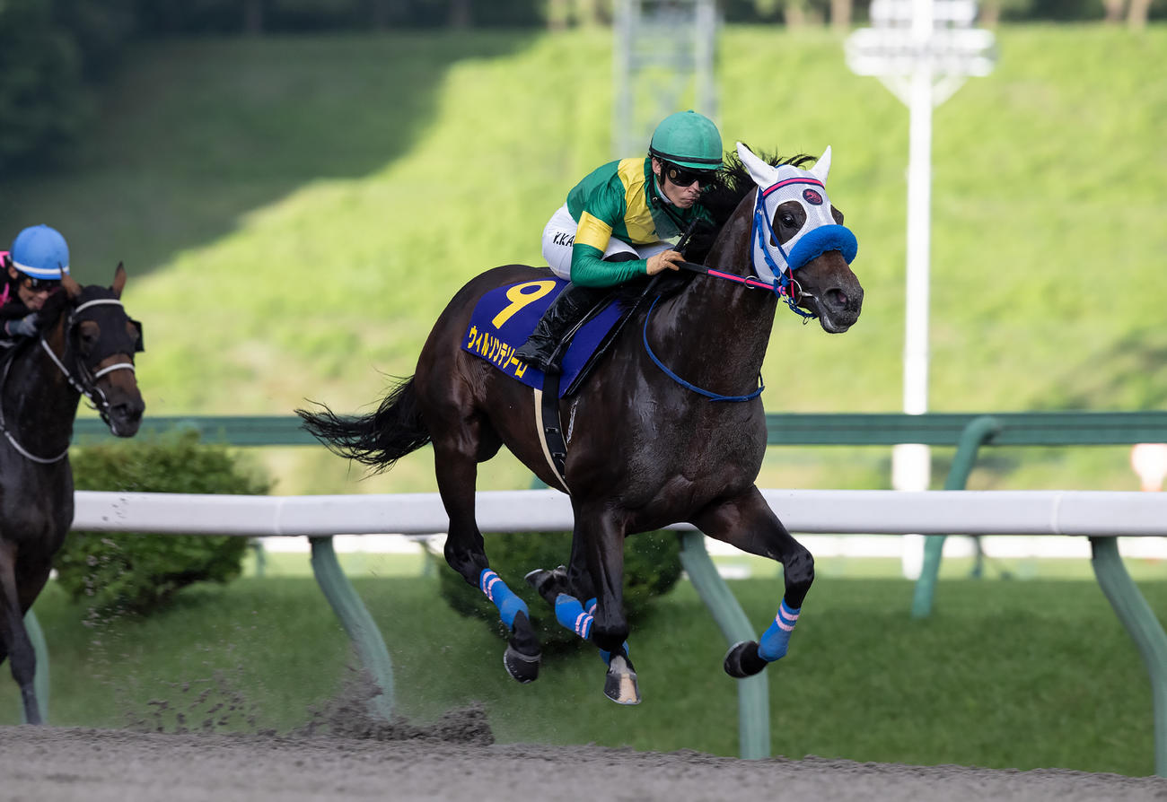 マーキュリーCを制したウィルソンテソーロ（岩手県競馬組合提供）