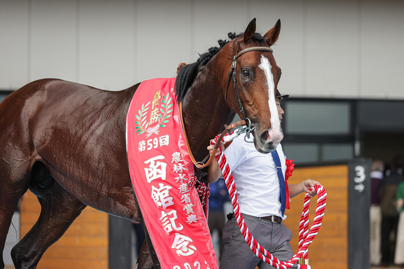 函館記念を制したローシャムパーク（2023年7月16日撮影）