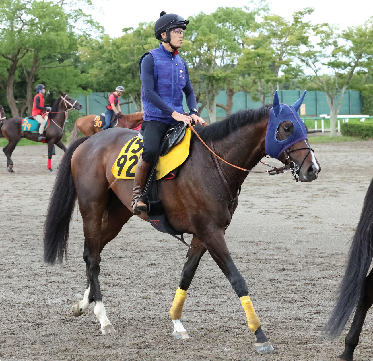7月、調教を終えて馬場を出るベジャール（23年7月13日撮影）