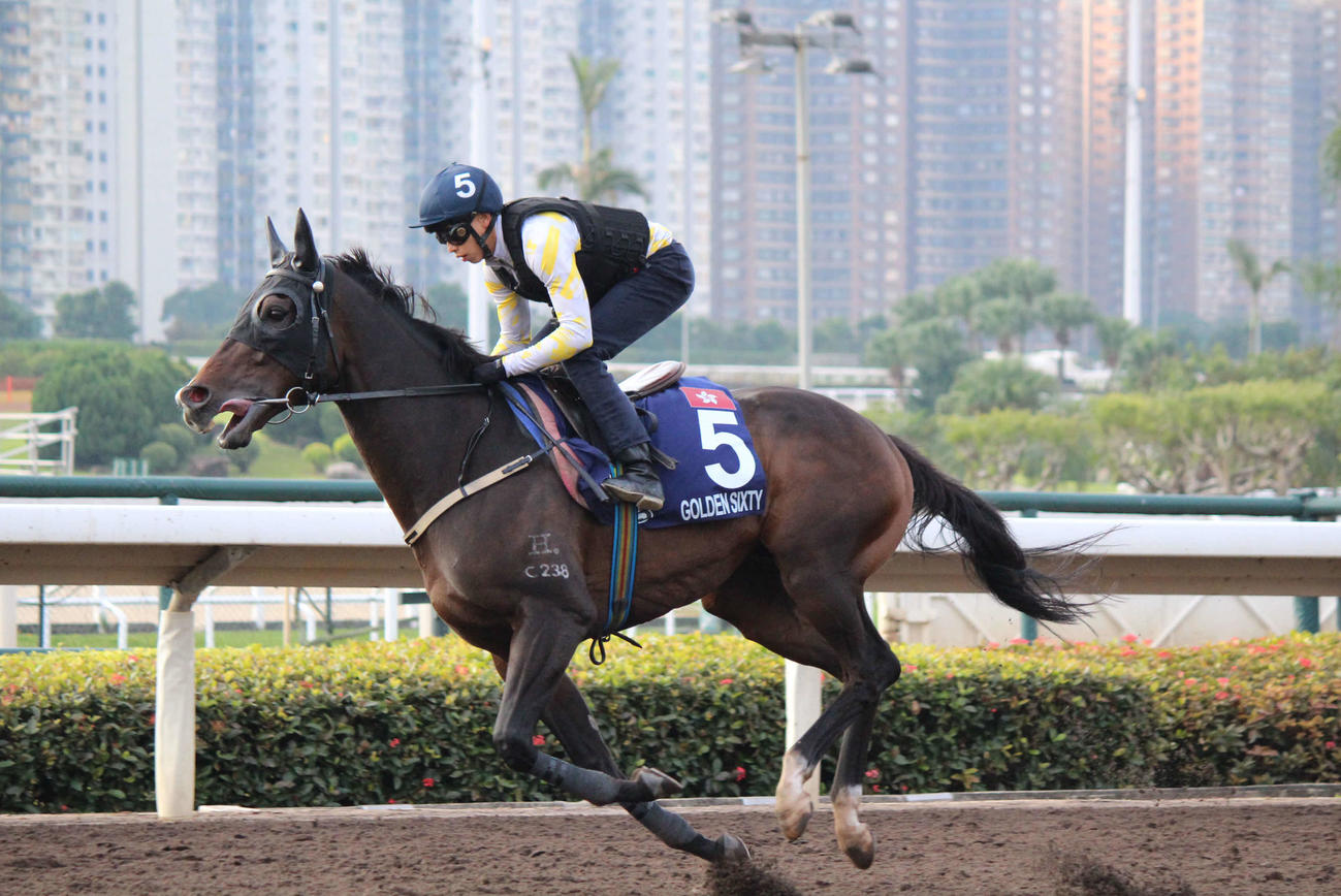 22／23年シーズンの香港年度代表馬に輝いたゴールデンシックスティ