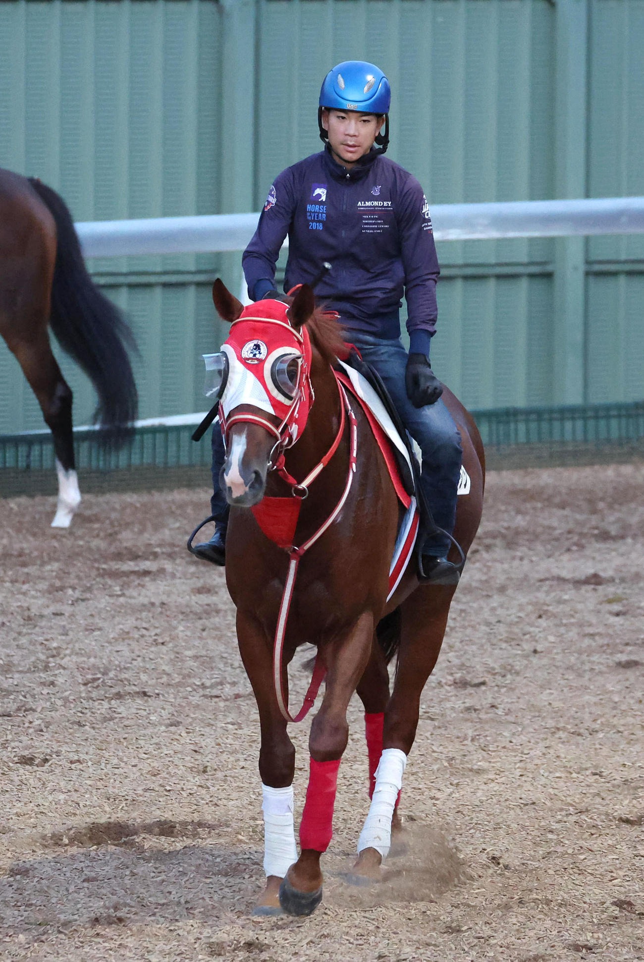 国分優騎手を背に角馬場で運動するホウオウアマゾン（撮影・白石智彦）