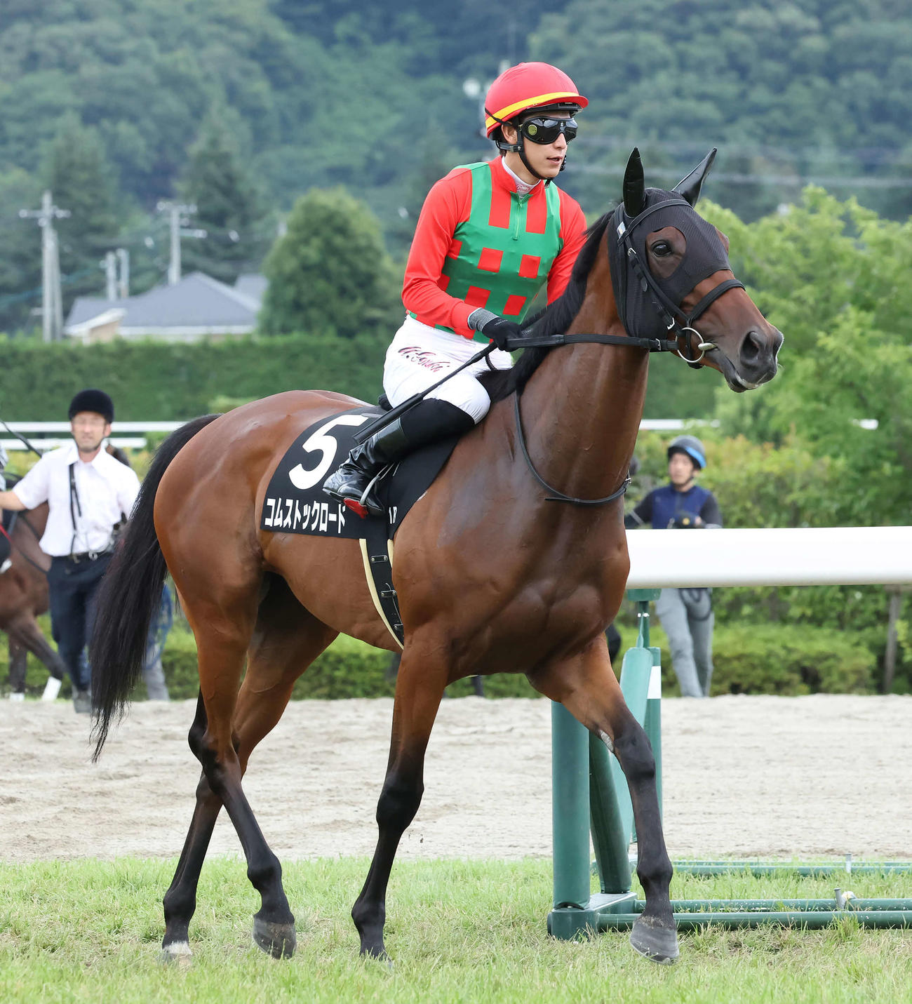 福島テレビOPに出走したコムストックロード（2023年7月16日撮影）