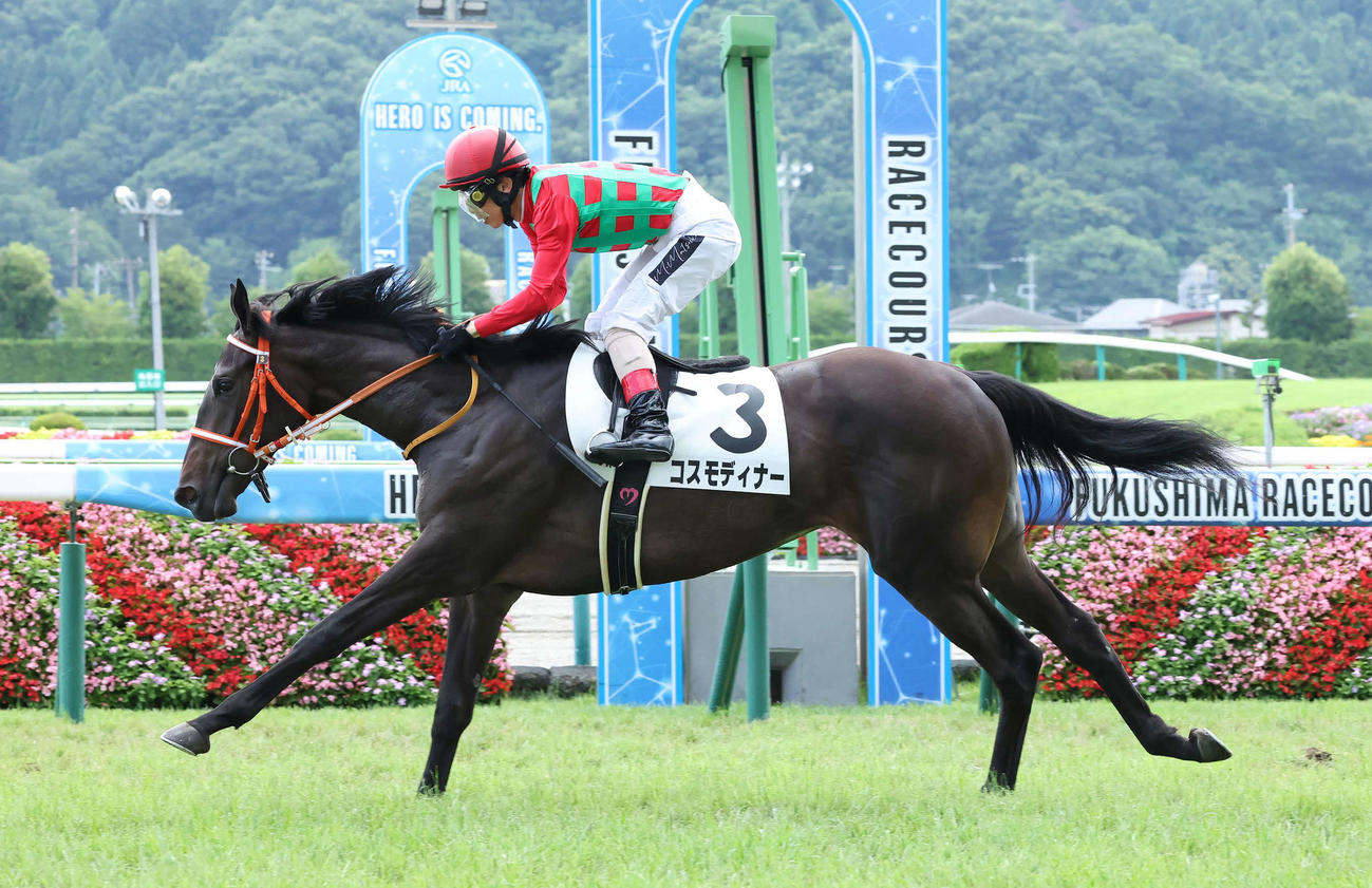 デビュー戦を快勝したコスモディナー（2023年7月16日撮影）