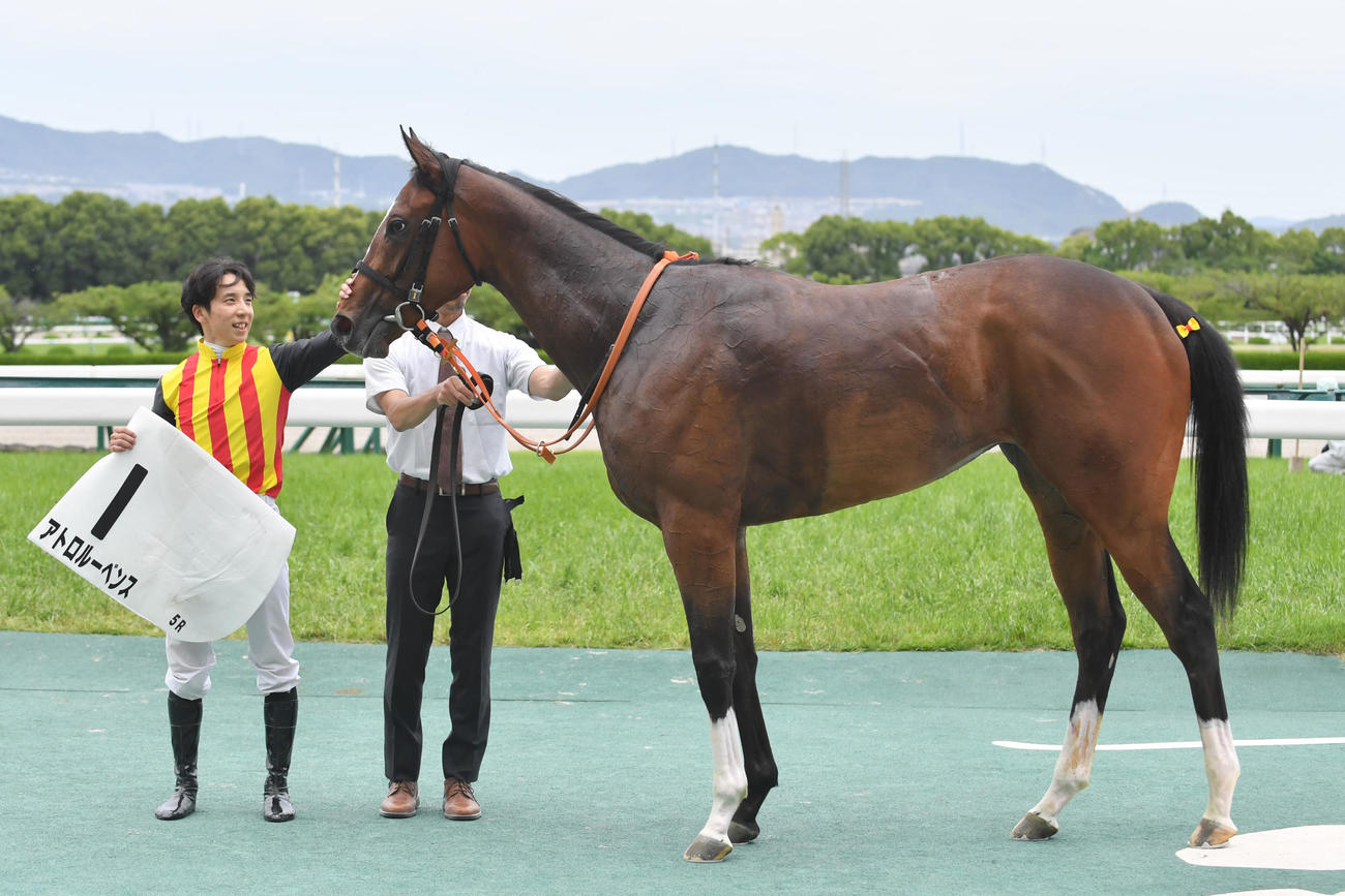 メイクデビュー阪神　1着でゴールしたアトロルーベンス（2023年6月4日撮影）