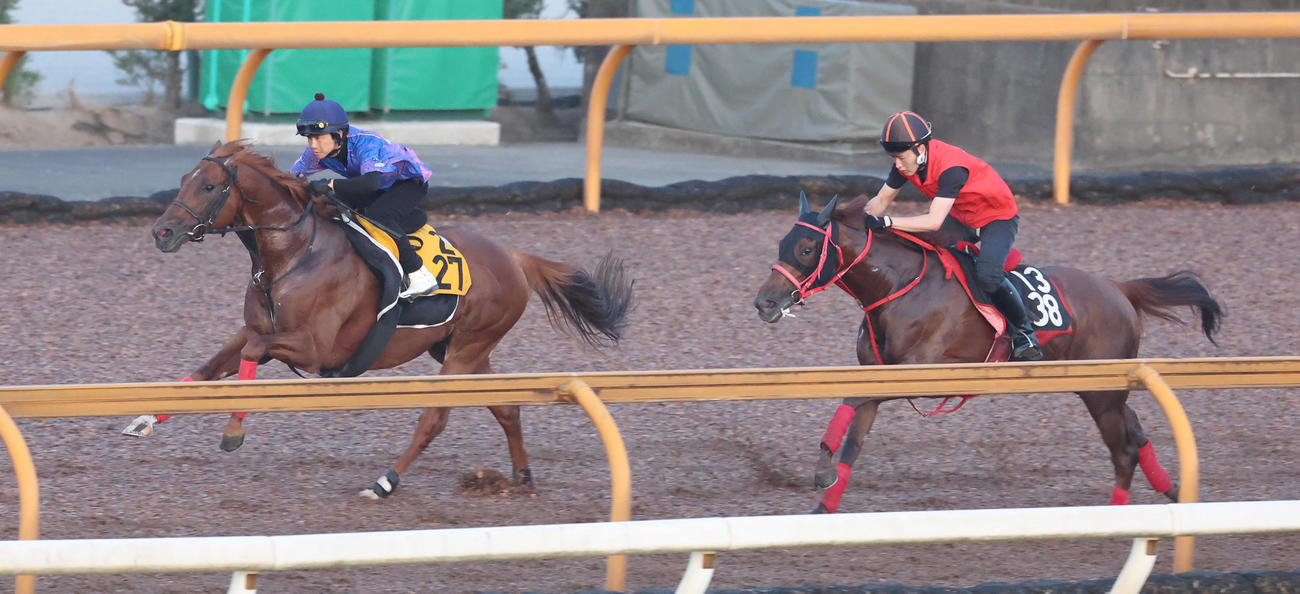 松岡騎手を背にCウッドで追い切るウイングレイテスト（左）