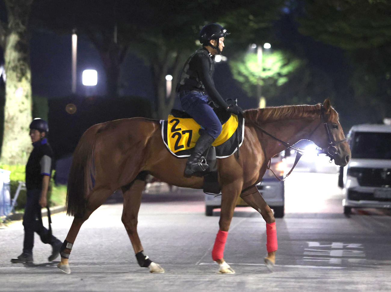厩舎周りで運動するウイングレイテスト（撮影・白石智彦）
