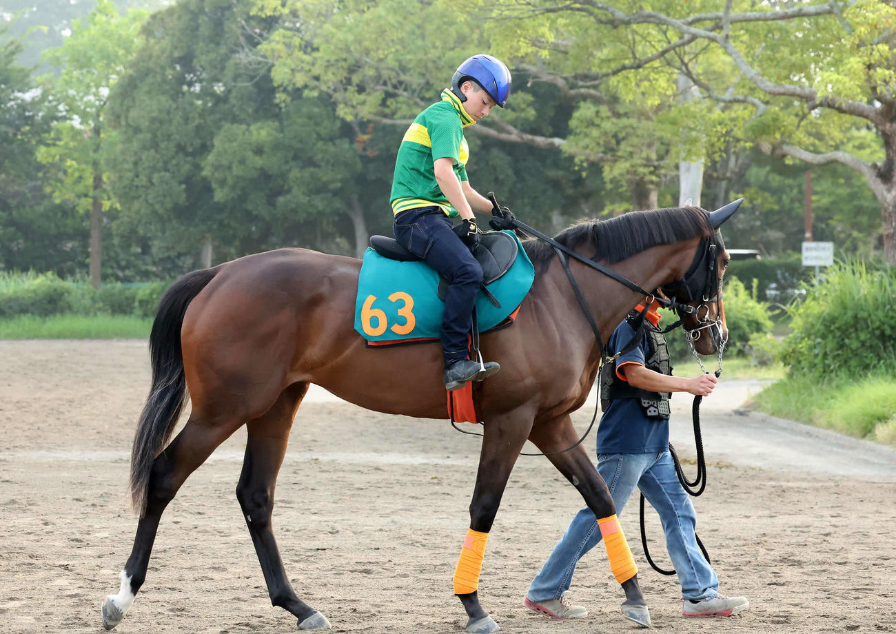 馬場へ向かうエセルフリーダと武藤騎手（撮影・丹羽敏通）