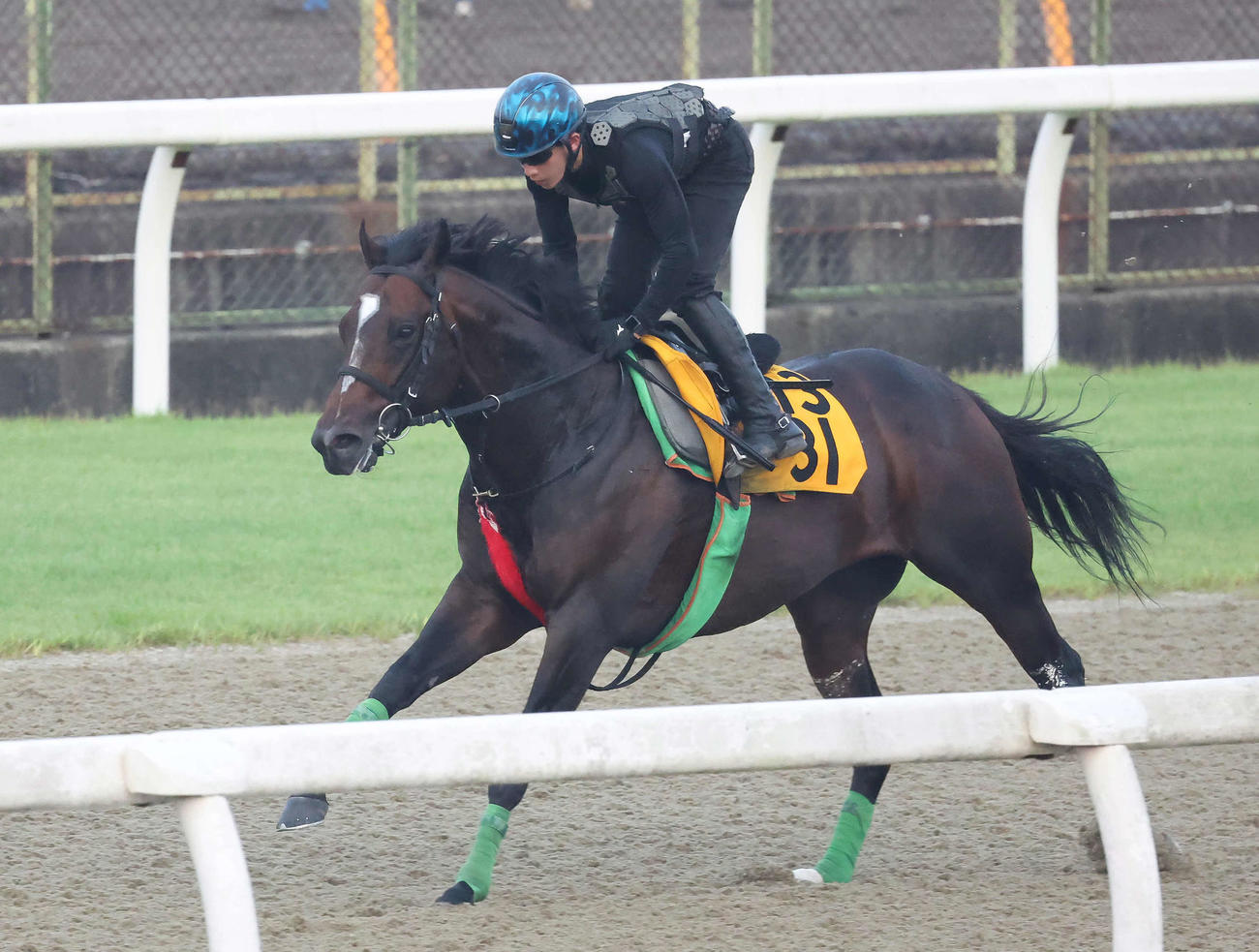 ハコダテブショウはポリトラックを単走で追い切られた（撮影・丹羽敏通）