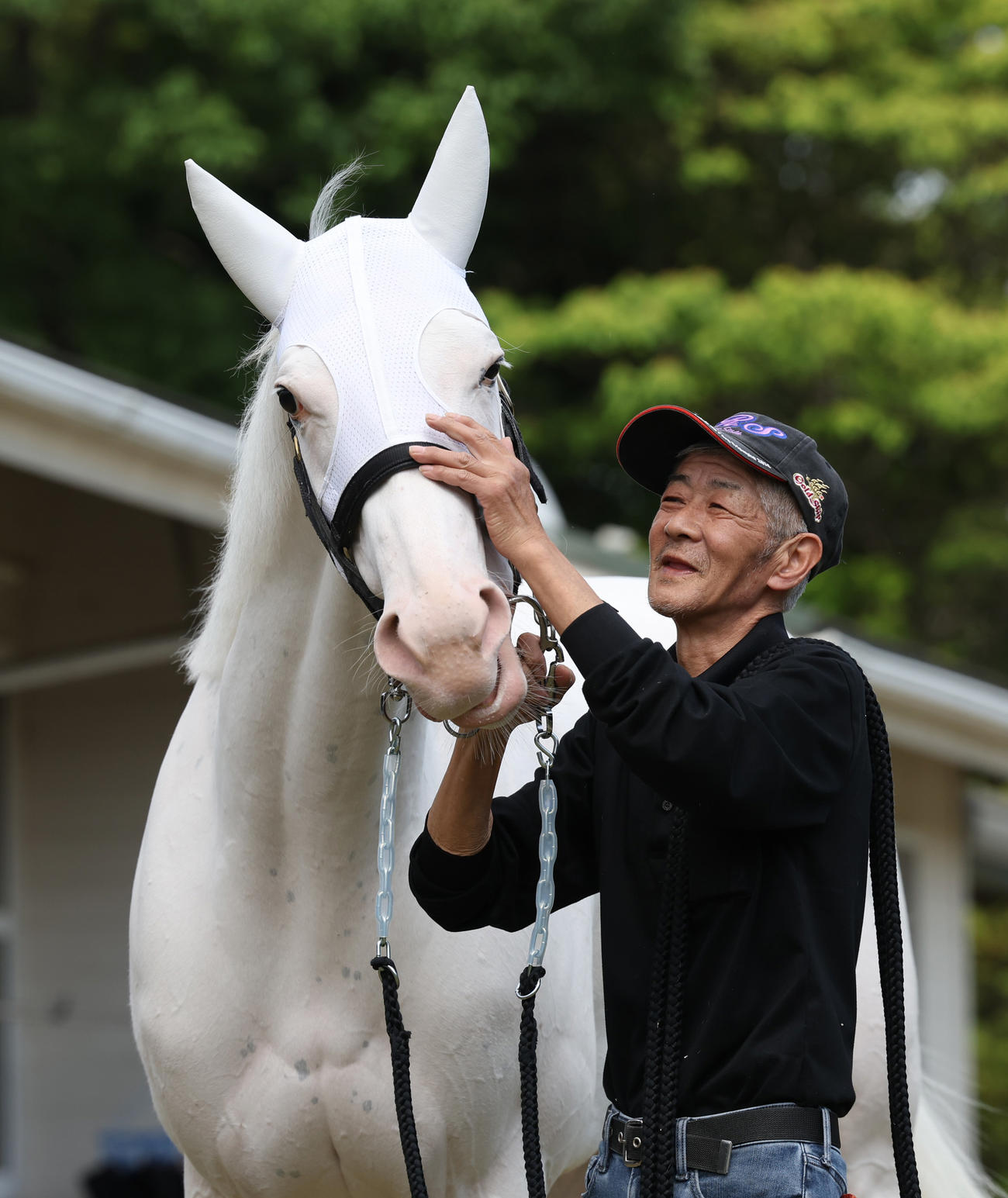 ソダシの顔をなでる今浪厩務員（2023年5月25日撮影）