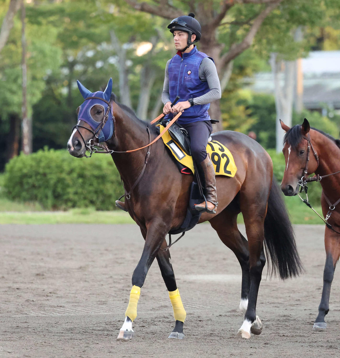 馬場へ向かうベジャール（撮影・丹羽敏通）