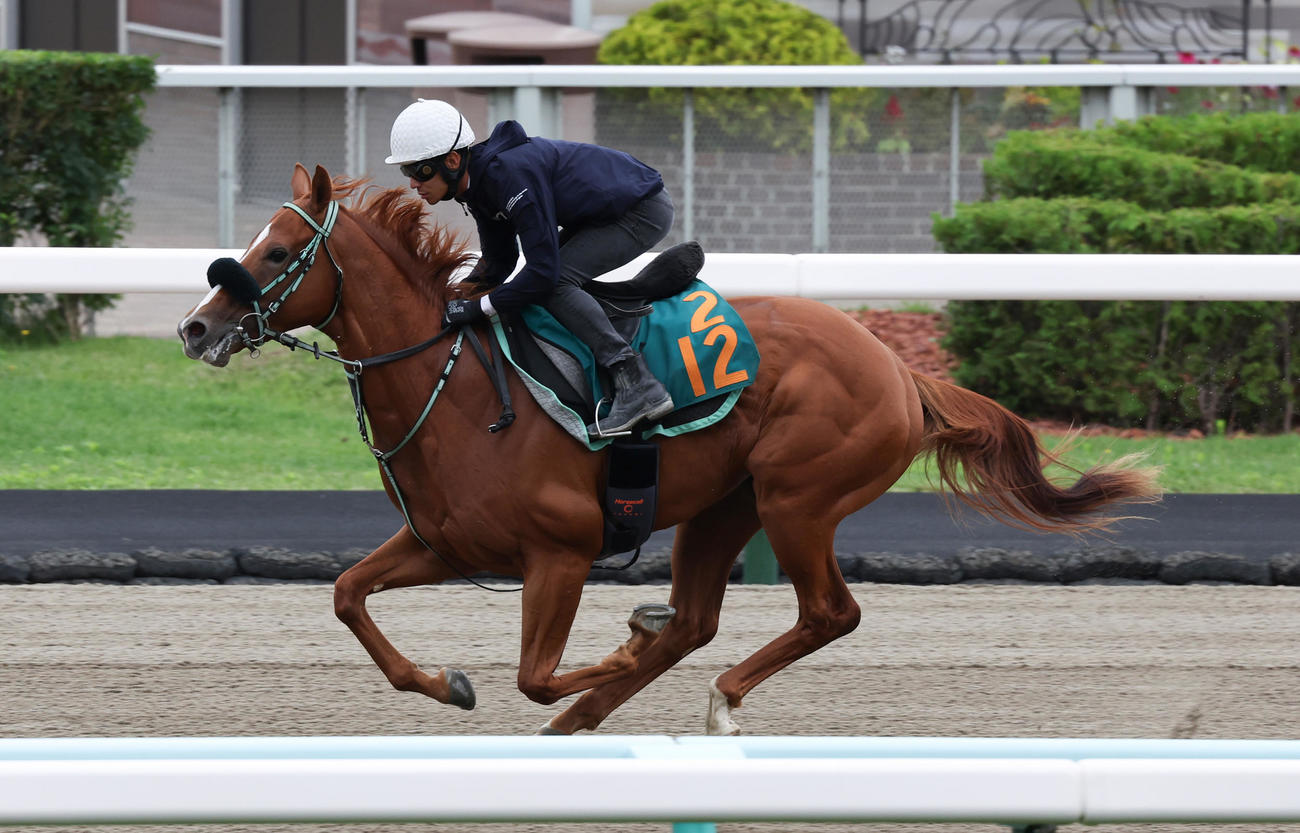 浜中騎手を背に、札幌ダートコースで追い切られるフルハートビート