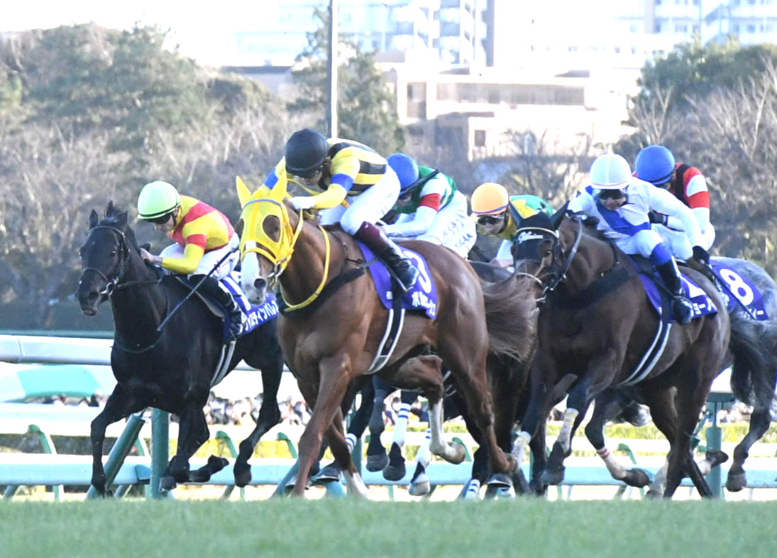 昨年有馬記念で2着に入ったボルドグフーシュ（中央）